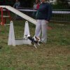 foire-haricots 2011-09-17et18